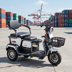 Vente du fabricant, tricycle électrique à trois <span class=keywords><strong>roues</strong></span> à énergie solaire, à carrosserie ouverte, pour le transport de marchandises et de passagers, 600W 800W 1000W, scooter pour adultes, prix bas - Product Image 1