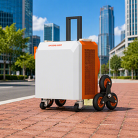 Machine de nettoyage au laser pulsé refroidie par air portable de 1000 W pour la rouille des métaux, la peinture, l'huile, le revêtement et le nettoyage des surfaces