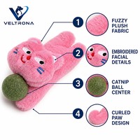 Jouet à mâcher à la catnip pour chats, jouet à mordre en peluche à la catnip avec boule suspendue, tissu duveteux, visage brodé