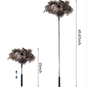 Vente en gros de <span class=keywords><strong>plumeau</strong></span> à plumes d'autruche extensible de 1,2 m avec manche télescopique en acier inoxydable pour le nettoyage des plafonds à la maison - Product Image 6