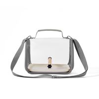 Sac de transport pour oiseaux portable transparent à main, petit sac de transport pour oiseaux d'extérieur pour pigeon, lézard, calopsitte, fournitures de voyage pour animaux de compagnie