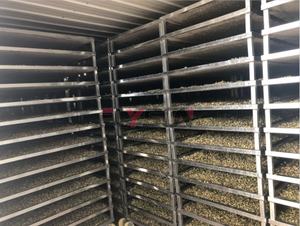 Four de séchage et déshydrateur d'aubergines à pompe à chaleur, équipement de transformation alimentaire à grande capacité contrôlé par PLC – Offre Spéciale - Product Image 4