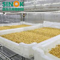 Serre conteneurisée Sinok 500 kg/jour, système hydroponique entièrement automatique pour fourrage et herbe, conteneur maritime intelligent de 20 pieds