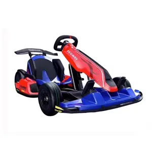 2023 חדש עיצוב שנאי מירוץ ללכת Kart Ninebot Segway חשמלי ללכת Kart פרו ילדים ומבוגרים