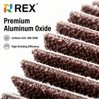 Roue à lamelles montée en alumine REX 25-80 mm avec tige de 6 mm, outil abrasif certifié TUV ISO pour le polissage des surfaces internes des métaux