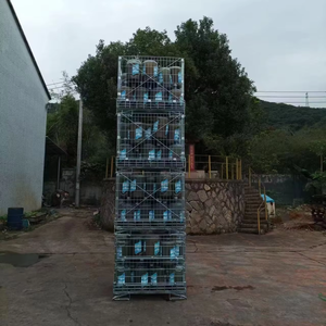 סגנון אירופאי פלדה אחסון כלוב חובה כבד החובה עמיד מחמד preforms להשתמש בכלוב מטען פלדה מרותך - Product Image 5