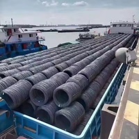 Alambre Plano de Alta Calidad Q195, Bajo en Carbono, Estirado en Frío, Superficie Negra Dura, para Atado en Construcción