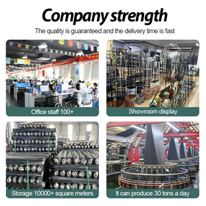 काले रंग पीपी सामग्री 100 ग्राम ग्राउंड कवर बैरियर नेट कृषि खरपतवार मैट ग्राउंड कवर - Product Image 6