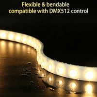 Bande LED flexible RGBW étanche IP68 pour extérieur, projecteur mural, programmable DMX512, changement de couleur, 5 mètres par pièce