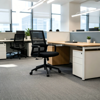 Chaise de bureau ergonomique réglable à roulettes pour réunions et formations, en tissu maillé, style moderne et simple, pour étudiants et usage domestique, pivotante avec accoudoirs fixes