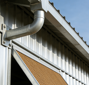 Vente chaude : Bâtiment avicole en acier, conception de structure métallique, hangar d'élevage avicole, cages métalliques à grande portée, bâtiment de bureau pour poulets, hôpital, école - Product Image 6