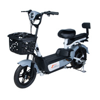 Sepeda Listrik Dewasa Grosir E-Bike Baterai 48V Skuter Listrik Kustom Dengan Pedal untuk Dewasa Kustomisasi OEM ODM