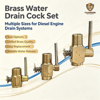 Interrupteur de vidange d'eau du moteur diesel (cuivre) S195 Zs1100 Zs1105 Zs1110 Zs1115 Zs1125 pour système de refroidissement du moteur