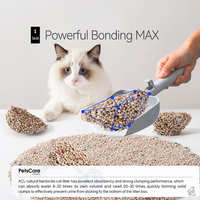 Litière pour chat en bentonite pour maisons multi-chats, grande capacité, sans poussière, agglomération rapide, facile à ramasser, faible dispersion