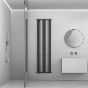<span class=keywords><strong>Radiateur</strong></span> <span class=keywords><strong>vertical</strong></span> de chauffage d'eau chaude de concepteur de AFD-MX pour le chauffage de pièce - Product Image 3