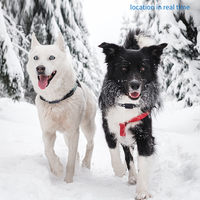 Gran oferta, localizador antipérdida para perros, Collar rastreador GPS, Collar localizador de mascotas preciso Global en tiempo Real para sistema Android IOS