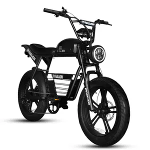 美国1000w 48v复古电动自行车40千米高速Vela电动便宜复古电动自行车电池电动自行车