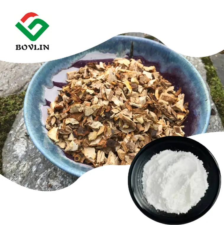 Fornitura di fabbrica Polygonum Cuspidatum estratto di radice 98% resveratrolo in polvere