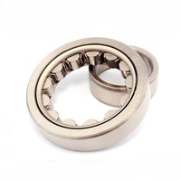 Hot Selling Plastic Molded Cage NJ2236-E-XL-M1 Single-row Cylindrical Bearing With NJ Design