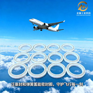 Joint d'étanchéité Pan-Sei pour stockage d'énergie à ressort, en tétrafluoroéthylène, pour système aérodynamique aéronautique, résistant aux hautes et basses températures - Product Image 1