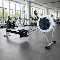 Appareil de musculation commercial Reyk pour entraînement cardio, Rameur à air en acier durable, Poids utilisateur max. 160 kg, Personnalisable