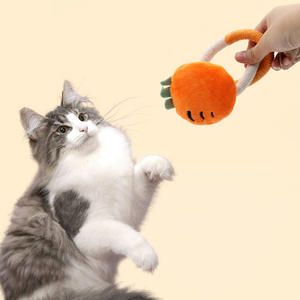 2025 nuevo juguete interactivo para gatos pequeños, palo de hierba gatera en alivio, cuerda para morder dientes, juguete para perros, productos para mascotas - Product Image 1