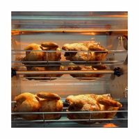 Rôtissoire de poulet électrique automatique Offre Spéciale rôtissoire commerciale en acier inoxydable pour restaurant prix d'usine