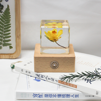 Lampe de nuit LED en cristal de fleur de pissenlit naturelle séchée, écologique et polie, cadeaux et artisanat