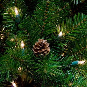 Đèn Giáng Sinh Phổ Biến Nhà Máy Trực Tiếp Bán Buôn Có Thể Thay Thế Trong Nhà Ngoài Trời Rõ Ràng Bóng Đèn Giáng Sinh Kỳ Nghỉ Trang Trí - Product Image 5