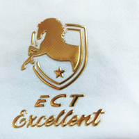 Vente en gros étiquette thermofusible TPU 3D de haute qualité personnalisée Patch en cuir pour jeans autocollant Hot Fix avec logo de la marque dorée pour vêtement