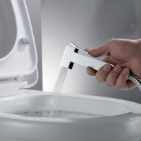 Ensemble de pulvérisateur de bidet mural chaud/froid, pistolet de toilette à double commande avec valve en laiton pour l'hygiène et le nettoyage de la salle de bain
