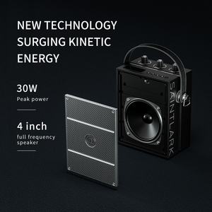 Loa <span class=keywords><strong>Bluetooth</strong></span> tùy chỉnh cho tiệc tùng trong nhà và ngoài trời, máy nghe nhạc di động, loa không dây có micro - Product Image 3