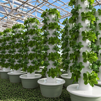 Système de culture hydroponique d'ananas en tour pour intérieur, écologique, avec moteur, design compact, pompe en option, LED HydroBlue
