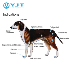 2022 YJT Hersteller handliches Kalt laser therapie gerät zur Schmerz linderung bei Haustieren - Product Image 2