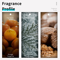 Parfum en Gros 38ml B031 Mini pour Homme Boisé Eau de Toilette Spray Longue Durée Parfum Original