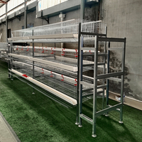 Cage à poulets automatique de type H à 4 niveaux et 5 portes, système de cages en batterie en forme de A pour 10 000 oiseaux