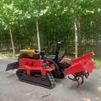 Vente chaude Outils de jardinage agricoles Motoculteur rotatif Minitype 35 CV Tondeuse à gazon multifonctionnelle pour extérieur Micro-labour Fourniture d'usine