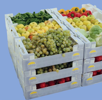 Boîte d'emballage en plastique creux réutilisable personnalisée pour fruits et légumes frais, pliable, en PP Coroplast, pour le stockage du maïs, vente en gros