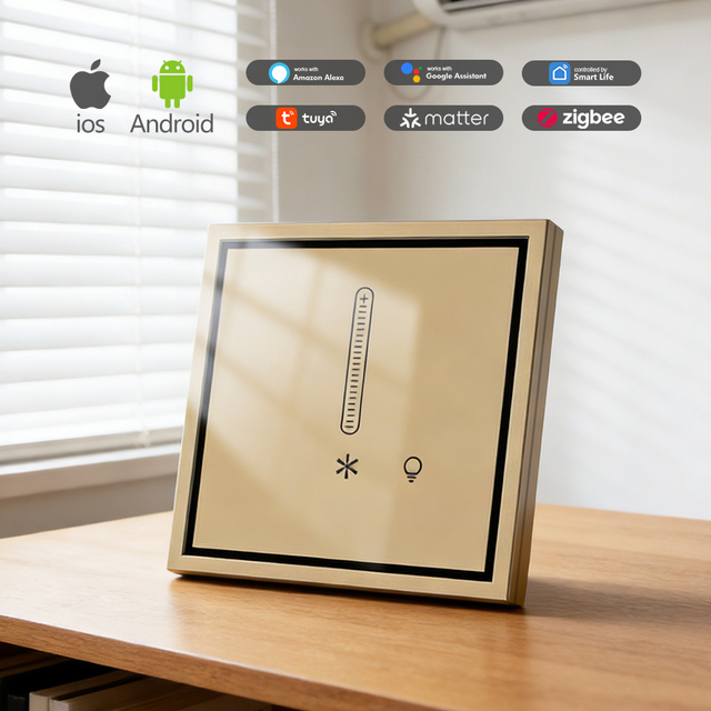 Smart Light and Fan Switch 2 Gang 10A 250V AC WiFi Tuya App Independent Control Voice Assistant for Ceiling Fan and Light Combo