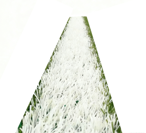 Césped Artificial Marcado para Campo de Fútbol, Rollo de Césped Sintético Blanco, Césped para Exteriores, Campo de Fútbol, 50 mm de Grosor - Product Image 1