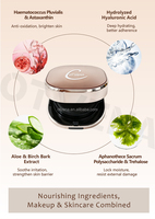 Fond de Teint Maquillage Couvrance Totale Sans Cruauté Animale Correcteur Crème Minérale Waterproof Contouring Marque Privée