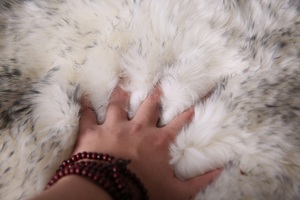 Housse de chaise de luxe en fausse peau de mouton douce, coussin de siège, tapis de fourrure en <span class=keywords><strong>peluche</strong></span> pour chambre à coucher, salon - Product Image 6