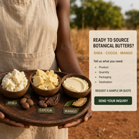 Beurre de karité pressé à froid, beurre de cacao, beurre de pépins de mangue en gros, matière première de qualité cosmétique pour la fabrication de savon, soins de la peau et des cheveux