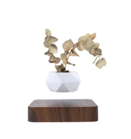 Maceta de aire de levitación geométrica blanca moderna con maceta flotante magnética Base de madera oscura hecha de plástico