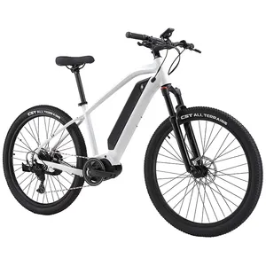 2023 mejores ventas 250 potencia E-bike almacén de la UE bicicleta eléctrica de montaña de alta calidad 36V 13ah bicicleta para adultos otra bicicleta de neumático gordo