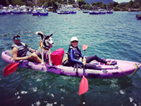 Kayak de pêche pour 3 personnes, bateau en plastique familial à assise sur le dessus, vente en gros