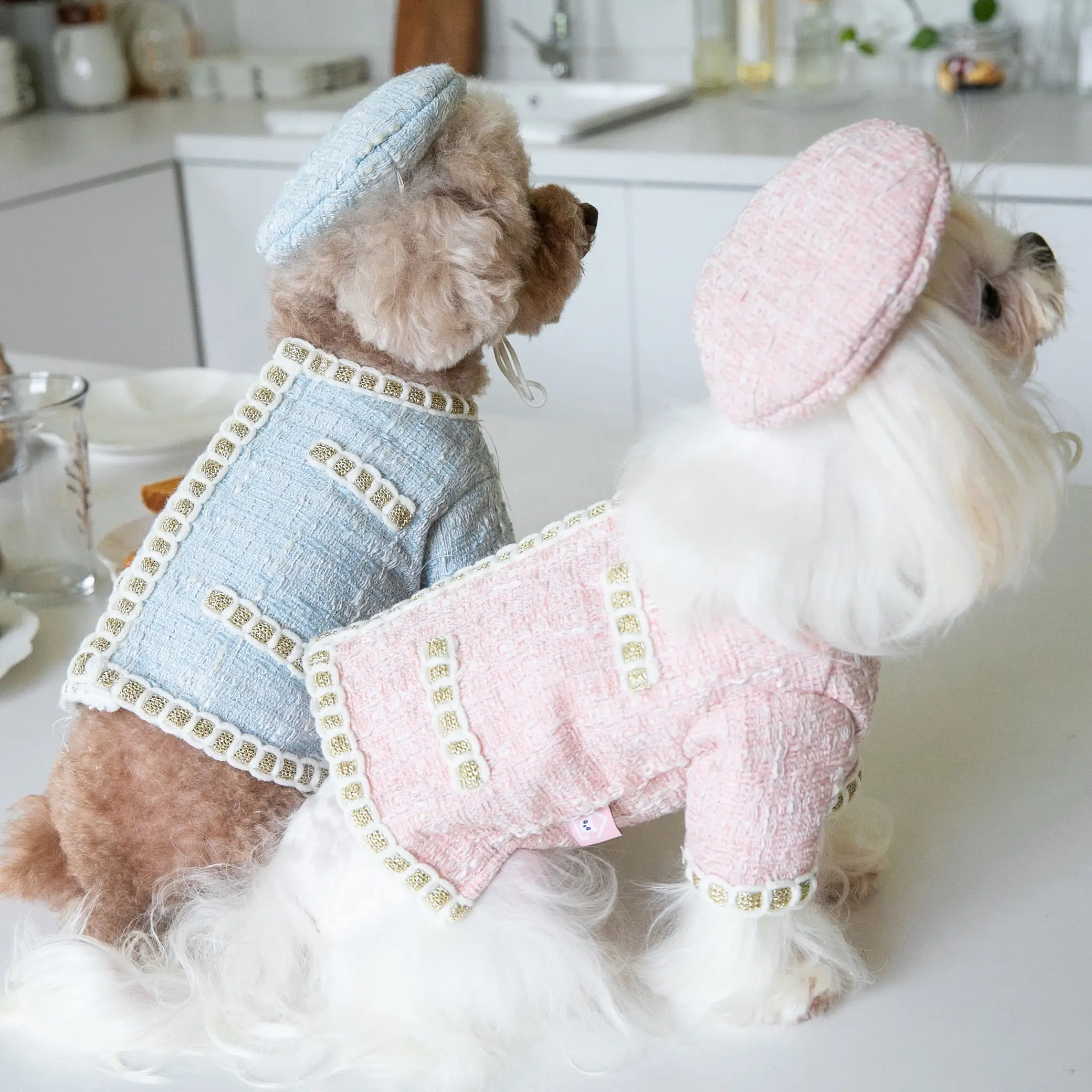 Wholesale Custom dog coat luxury dog clothes Pet Outfits Dog Clothes