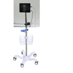 Carrito de Monitoreo de Pacientes Lm 980x500x180 mm, 2 Niveles con Cesta y Ruedas para Uso Hospitalario - Product Image 1