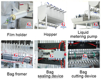 Máquina de llenado y envasado automático de paletas de hielo y barras de gelatina de grado alimenticio de 50ml y 100ml, impulsada por motor.
