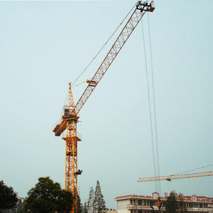 เครนทาวเวอร์แบบอยู่กับที่ TC6013 ประสิทธิภาพสูง 6 ตัน 8 ตัน ราคาโรงงาน - Product Image 4